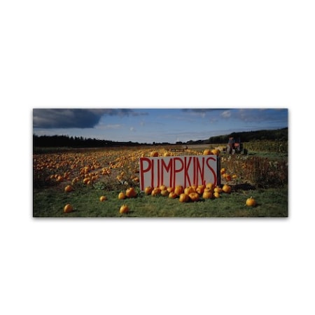 Robert Harding Picture Library 'Pumpkins' Canvas Art,10x24